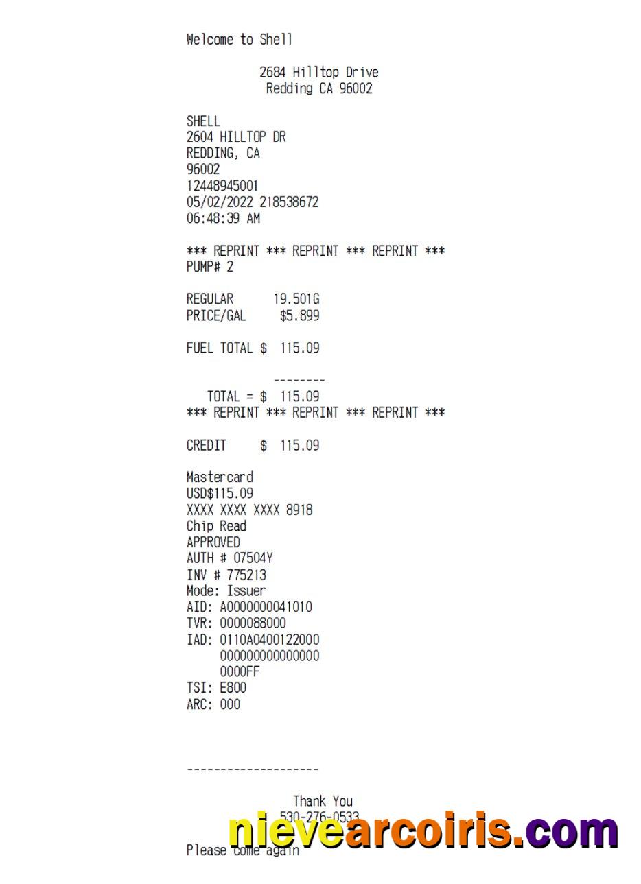 Shell global payment check
